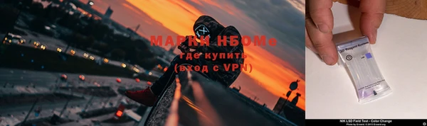 гидра Алексеевка