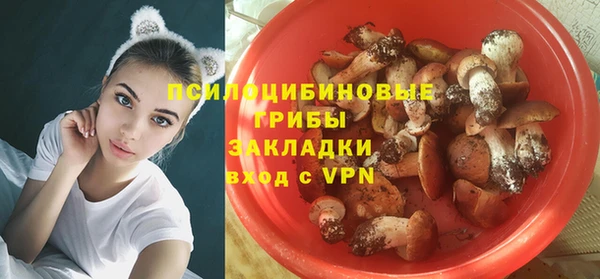 гидра Алексеевка