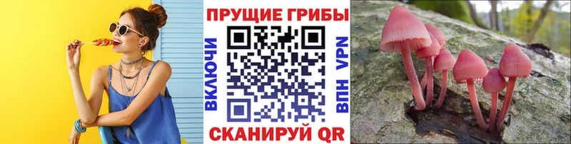 Псилоцибиновые грибы Magic Shrooms  Ликино-Дулёво 