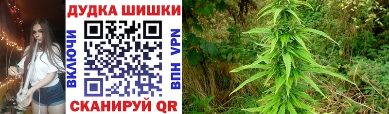 Конопля гибрид  Ликино-Дулёво 